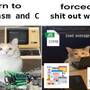 born_to_write_c.jpg