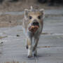 dsc01712_edited.jpg