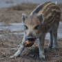 dsc01713_edited.jpg